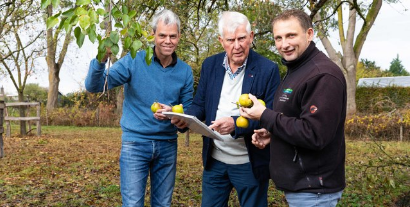 Ark Voor Hoogstamfruit | Projecten Netwerk Platteland